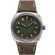 Pam1349_Cat_Front_D_2406062_preview_download