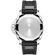 Pam1381_Cat_Fond_C