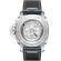 PAM03313_BACK_C.png