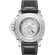 PAM03312_BACK_C.png